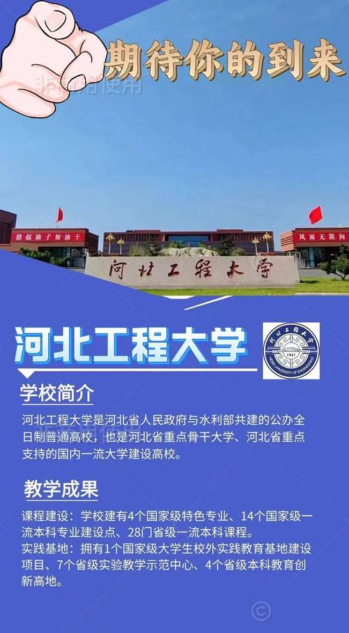 网络投票火热进行中
