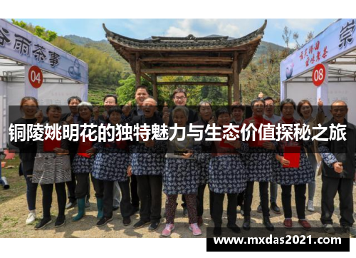 铜陵姚明花的独特魅力与生态价值探秘之旅